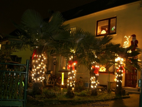 palmiers décoration extérieur pour noël lumières