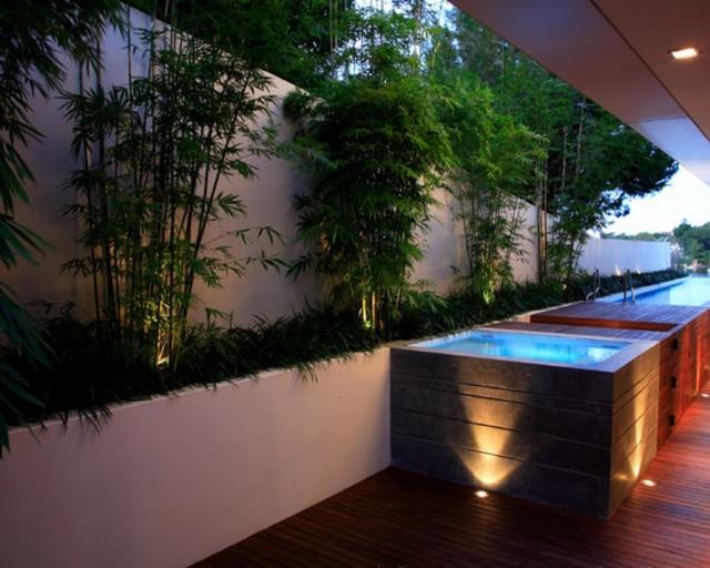patio design bambous idée
