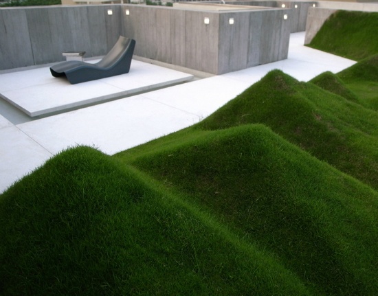 pelouse geometrique espace exterieur design