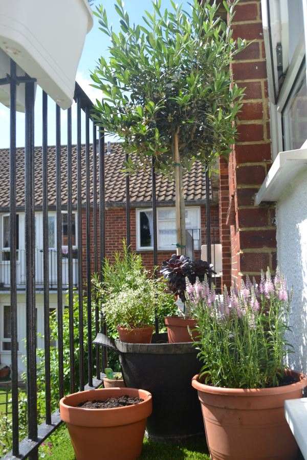 petit balcon aménager jardin plantes