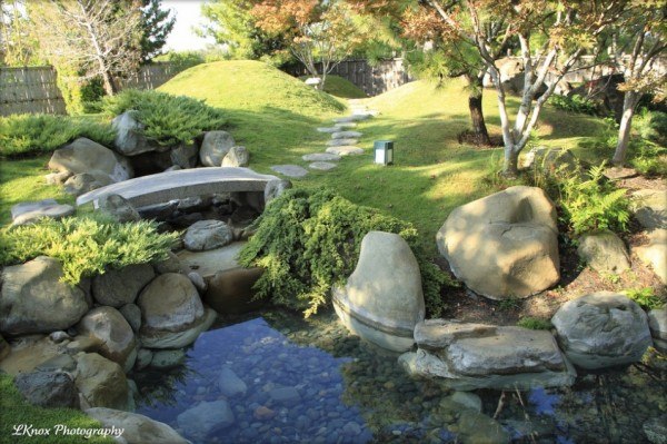 petit pont étang koï jardin japonais