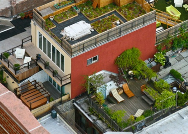 petits jardins sur toit