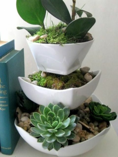 plante succulente porcelaine etage pot fleur