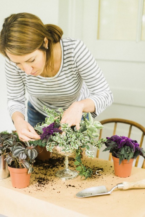 centre de table DIY plantes differentes preparation plantes