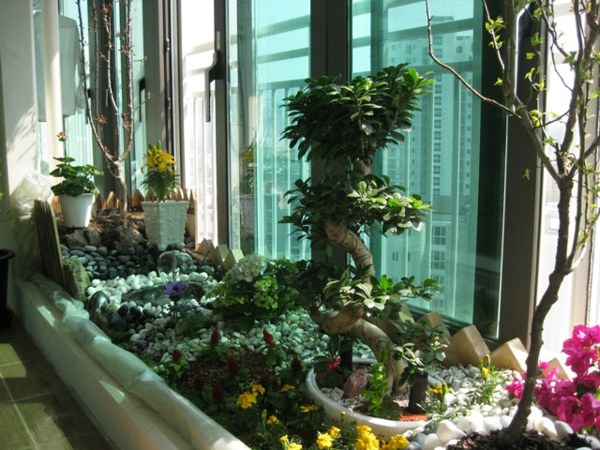 plantes-interieur-jardin