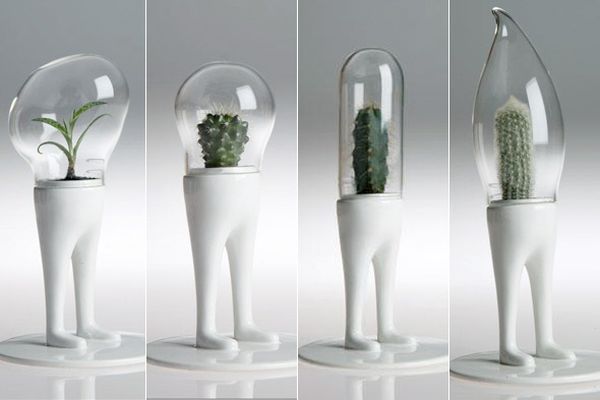 plantes vases design original