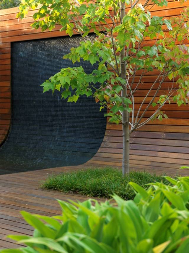 plateforme bois aquatique design