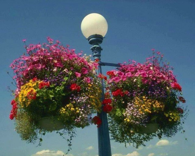 pot de fleurs suspendu lampadaire panier urbain