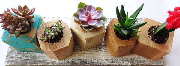 pots de fleurs en bois