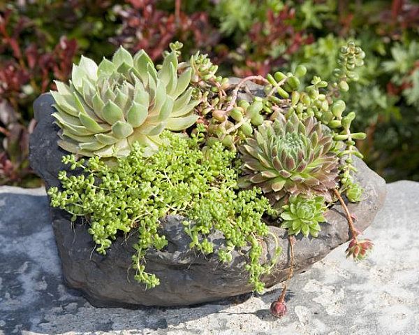 pots design pierre naturelle