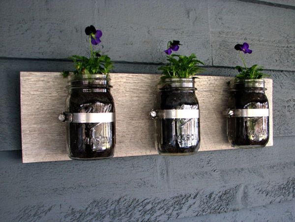 pots verre plantes accrochées mur