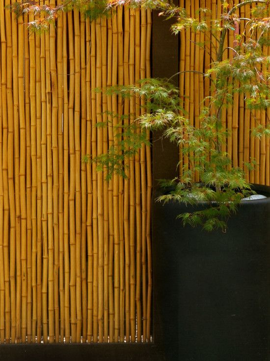 revetement en bambou clôture