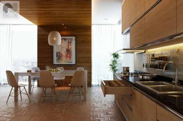 salle à manger cuisine spacieuse design moderne