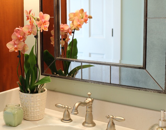 salle bain froide orchidee couleur saumon