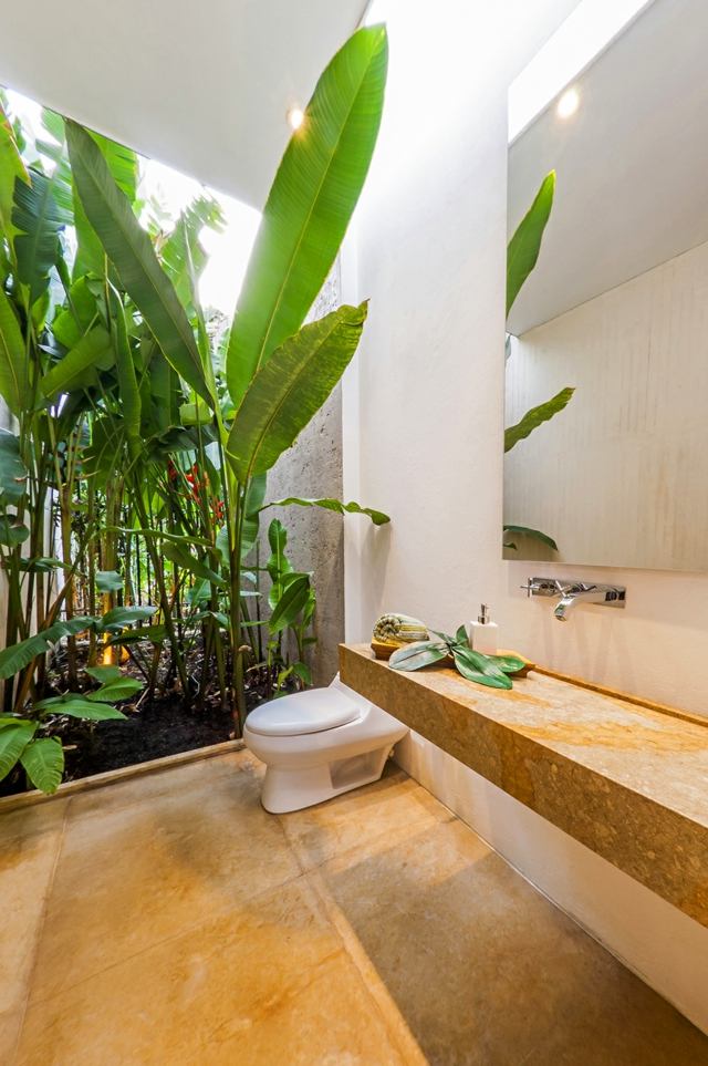 salle bain moderne plantes