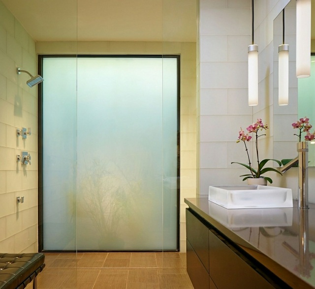 salle bain moderne spacieuse vue douche