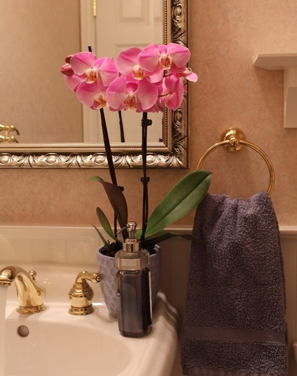 salle bain or orchidee rose