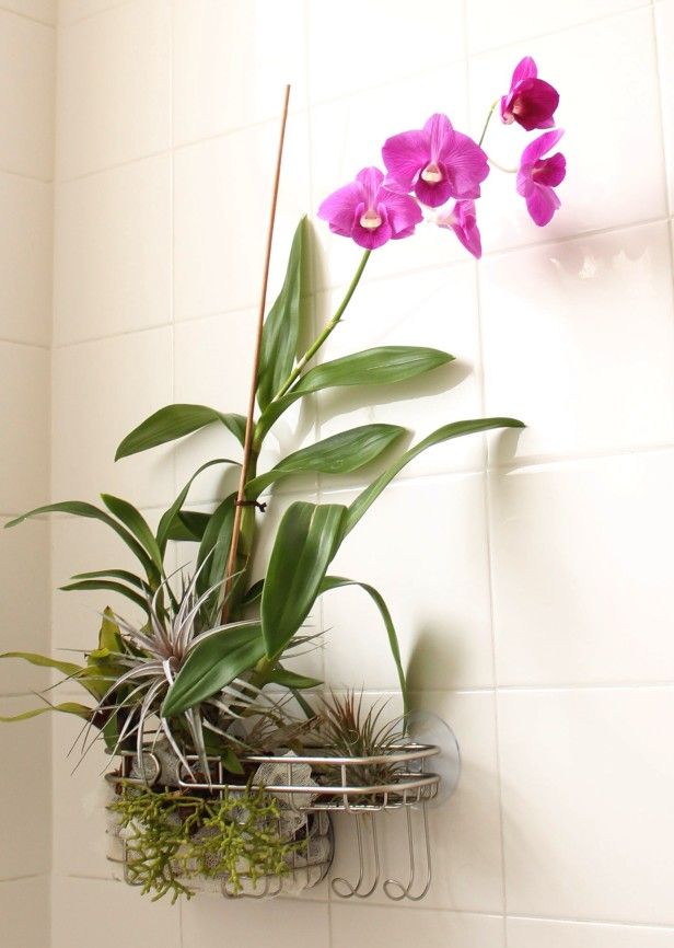 salle bain orchidee decoration florale impeccable