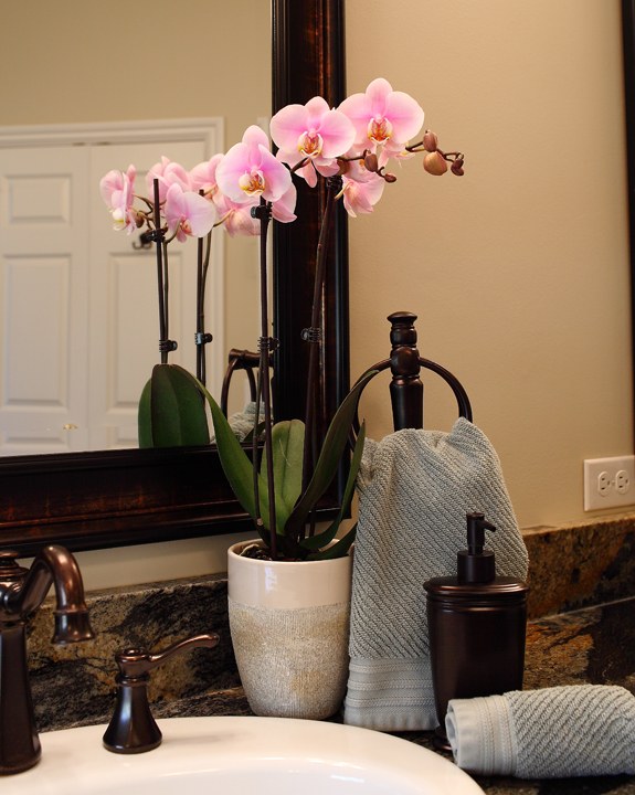 salle bain orchidee rose