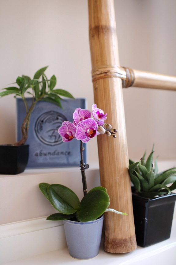 salle bain orchidee