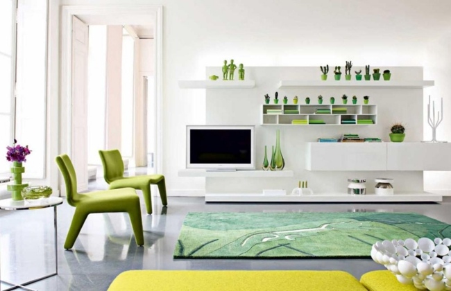 salle-séjour-couleurs-fraîches-chaises-vertes-tapis-vert-élégant-vases-pots-cactus idées salle de séjour