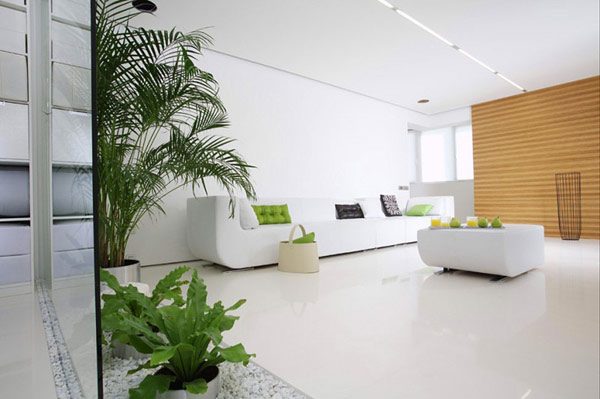 salle-séjour-couleurs-fraîches-intérieur-blanc-coussins-verts-plantes idées salle de séjour