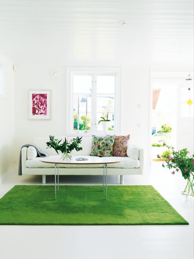 salle-séjour-couleurs-fraîches-tapis-vert-élégant-coussins-motifs-plantes-vertes idées salle de séjour