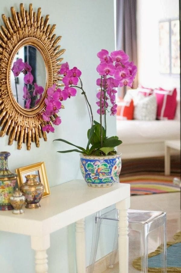 salon decoration orchidee rose miroir or