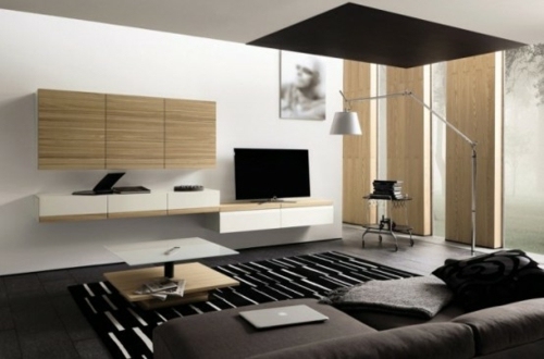 salon minimaliste meubles bois