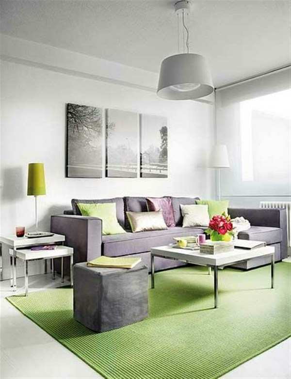 salon moderne gris vert design