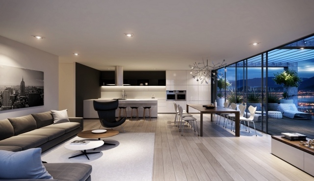 salon avec salle à manger cuisine-terrasse-loft-moderne