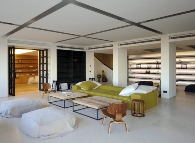 salon spacieux meubles de design bois