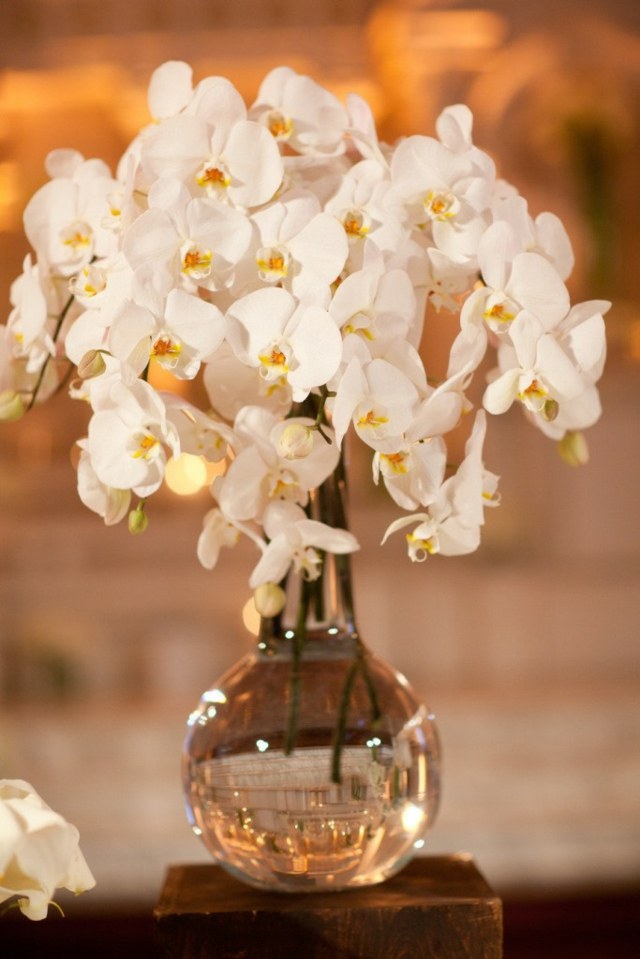 simple bouquet orchidees blanches