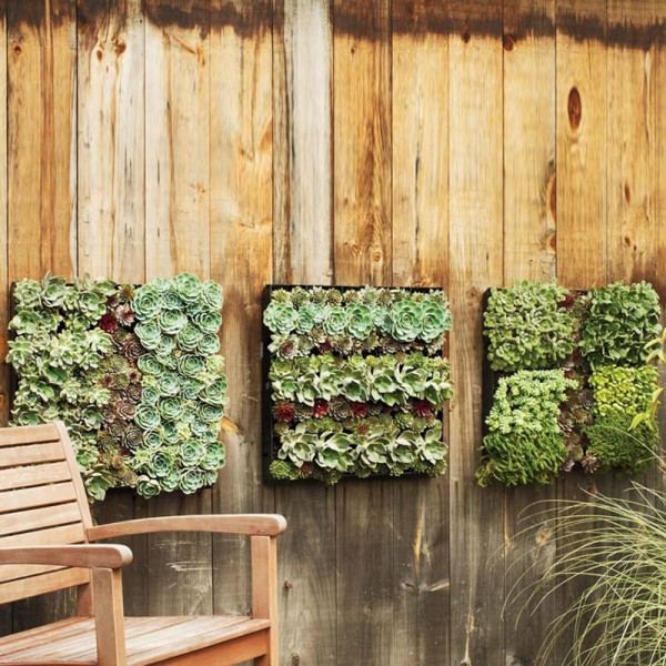 solution mur végétal jardin