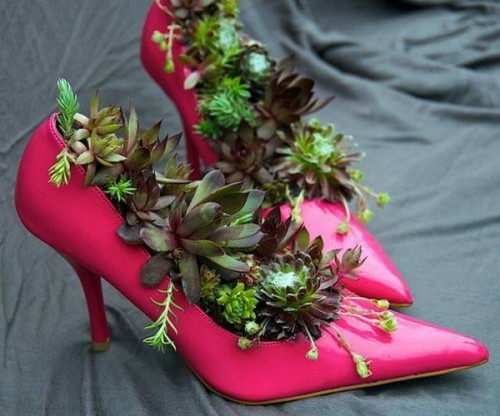 succulents chaussure talon rose magenta debordant