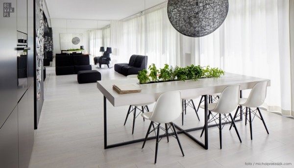 intérieur moderne en blanc et noir éléments surprenants  plantes luminaires 