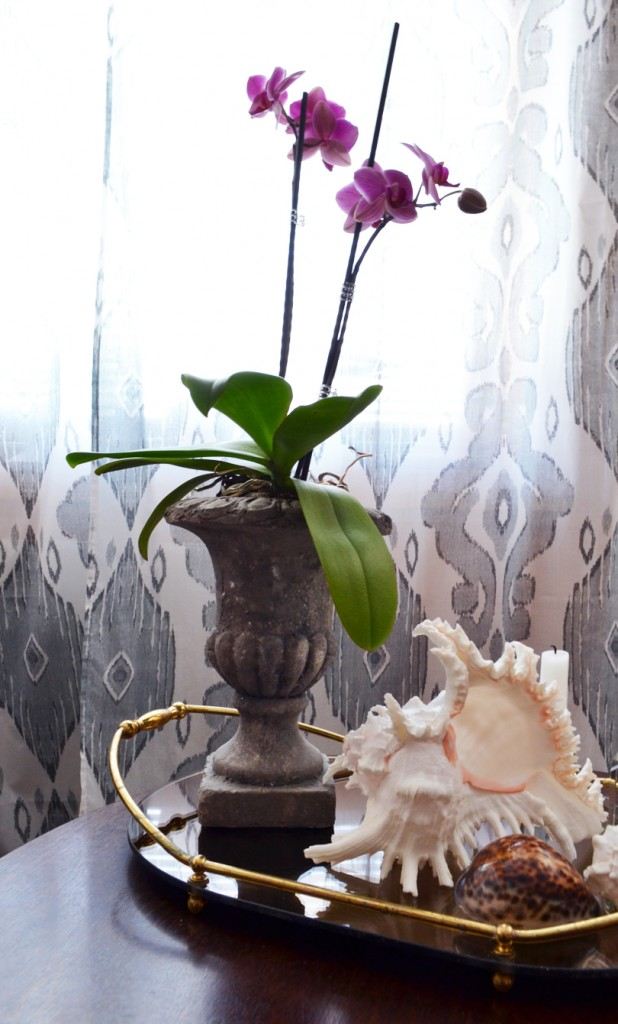 table basse decoration orchidee marine cociage