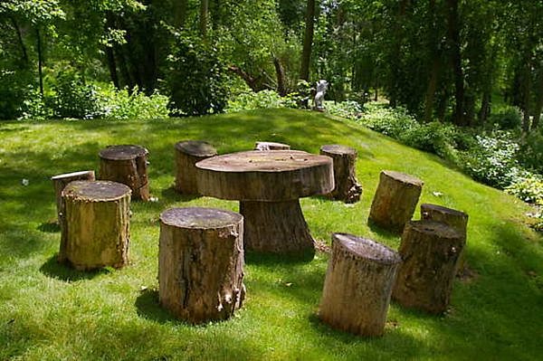 table chaises troncs arbres