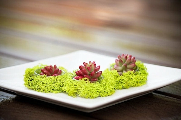 terrarium decoration table assiette plate