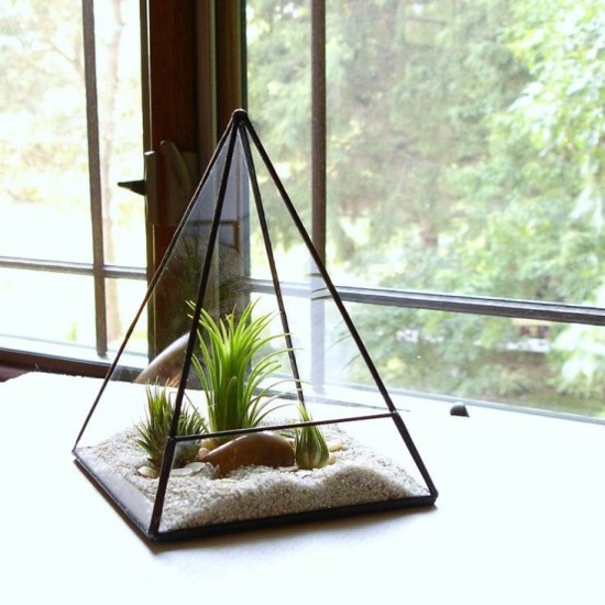 terrarium triangulaire sable