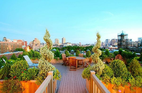 toit-terrasse moderne plantes