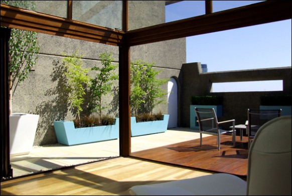 toit végétalisé moderne terrasse