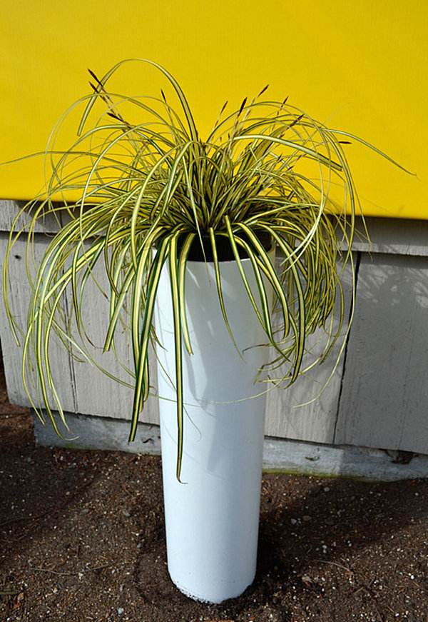 tube pvc large porte plante