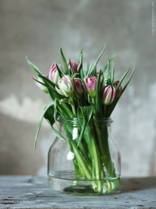 tulipe bocal verre