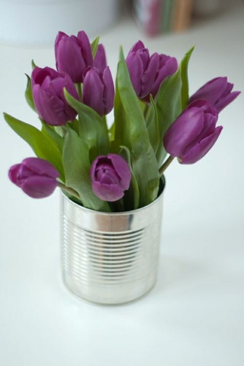 tulipes boite conserve