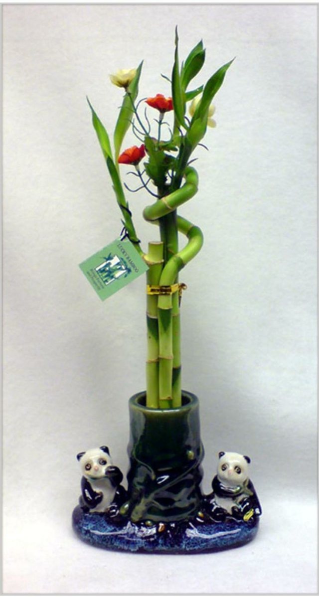 vase panda decoration bambou