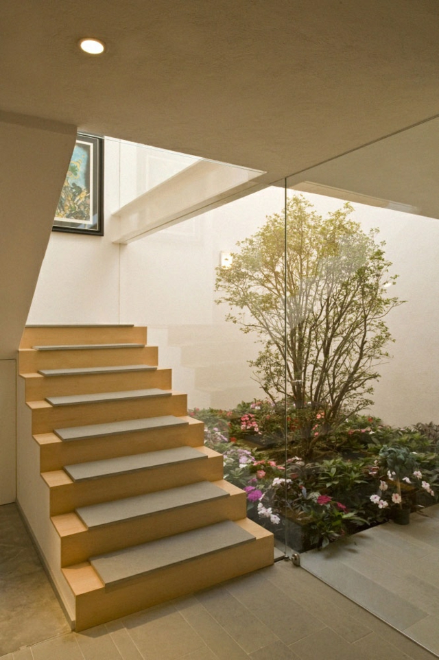 vegetation interieure escalier