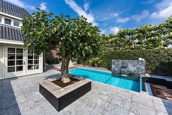 végétation piscine villa luxueuse