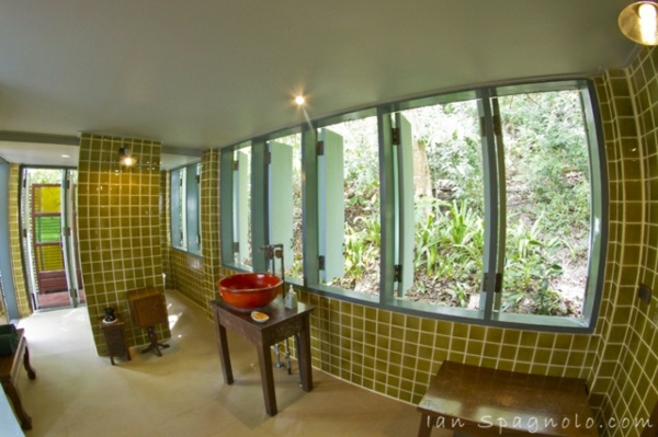 vert mosaïque bois fenêtres espace verdure salle bains extérieur